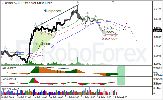 Анализ индикаторов Б. Вильямса для USD/CAD и NZD/USD на 25.02.2014