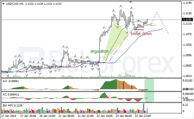 Анализ индикаторов Б. Вильямса для USD/CAD на 24.01.2014