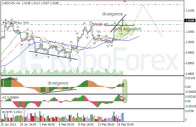 Анализ индикаторов Б.Вильямса для USD/CAD на 19.02.2013