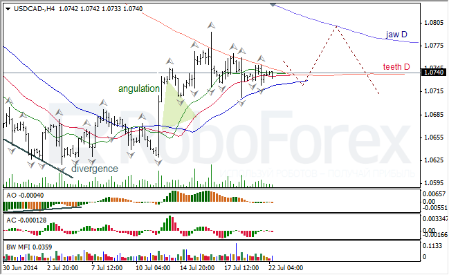Анализ индикаторов Б. Вильямса для USD/CAD и NZD/USD на 22.07.2014