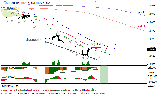 Анализ индикаторов Б. Вильямса для USD/CAD и NZD/USD на 07.07.2014