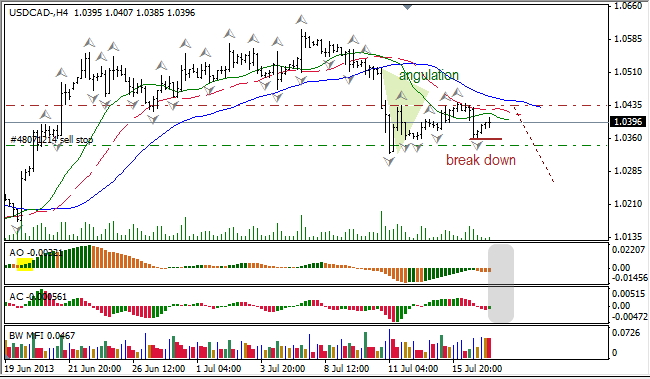 Анализ индикаторов Б. Вильямса для USD/CAD на 17.07.2013