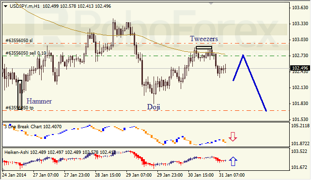 Анализ японских свечей для USD/JPY на 31.01.2014