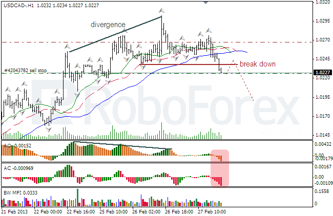 Анализ индикаторов Б. Вильямса для USD/CAD на 28.02.2013