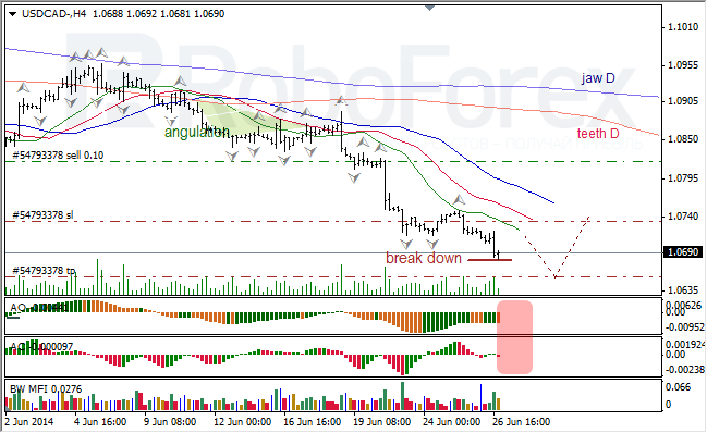 Анализ индикаторов Б. Вильямса для USD/CAD и NZD/USD на 27.06.2014