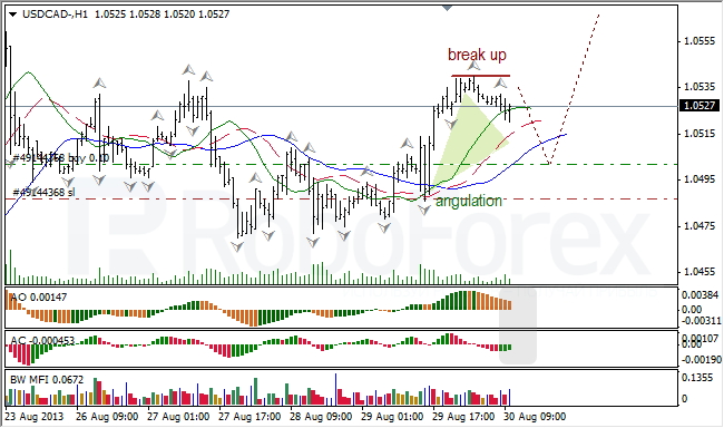 Анализ индикаторов Б. Вильямса для USD/CAD на 30.08.2013