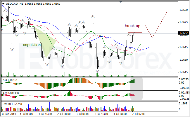 Анализ индикаторов Б. Вильямса для USD/CAD и NZD/USD на 07.07.2014