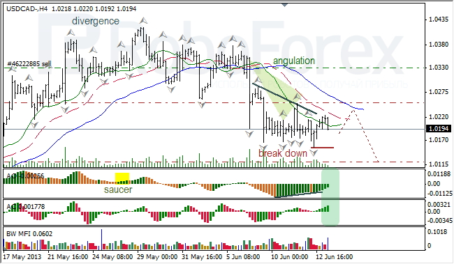 Анализ индикаторов Б. Вильямса для USD/CAD на 13.06.2013