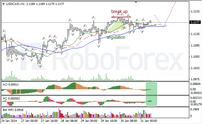 Анализ индикаторов Б. Вильямса для USD/CAD на 31.01.2014