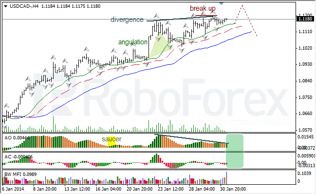 Анализ индикаторов Б. Вильямса для USD/CAD на 31.01.2014