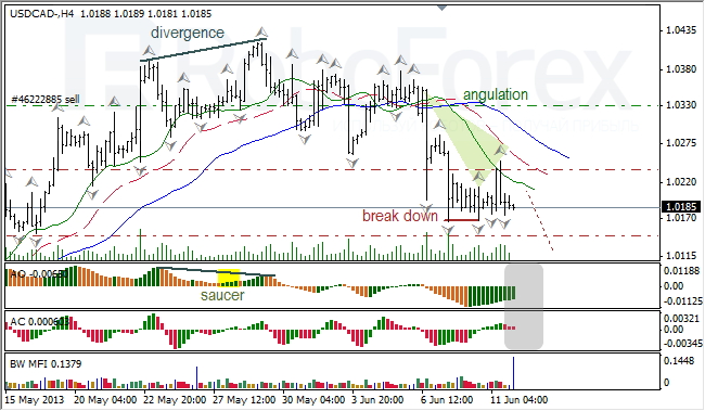 Анализ индикаторов Б. Вильямса для USD/CAD на 12.06.2013
