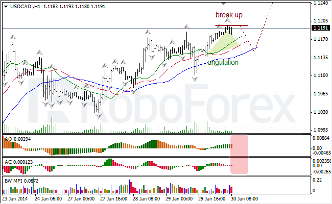 Анализ индикаторов Б. Вильямса для USD/CAD на 30.01.2014