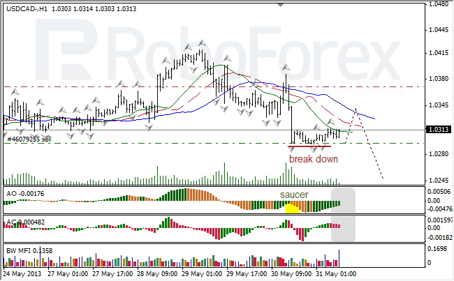 Анализ индикаторов Б. Вильямса для USD/CAD на 31.05.2013