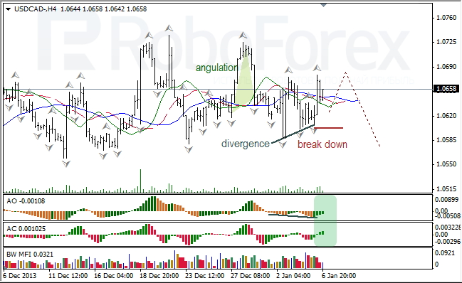 Анализ индикаторов Б. Вильямса для USD/CAD на 07.01.2014