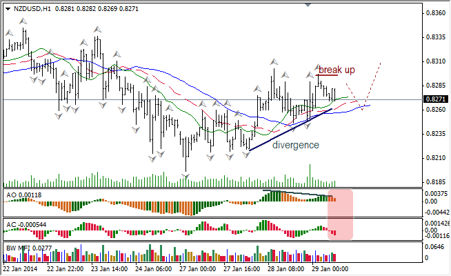 Анализ индикаторов Б. Вильямса для NZD/USD на 29.01.2014