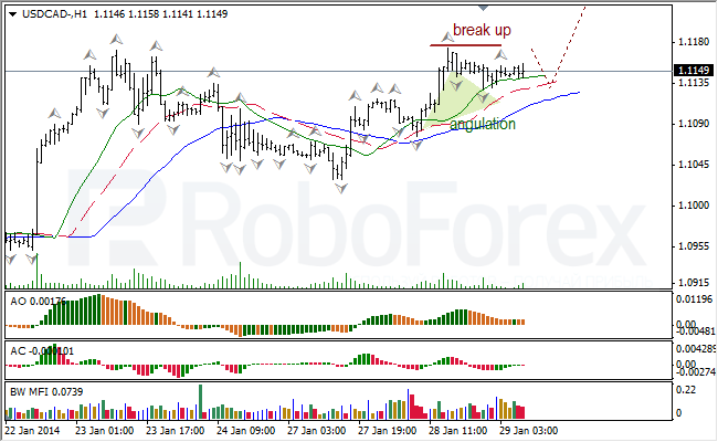 Анализ индикаторов Б. Вильямса для USD/CAD на 29.01.2014