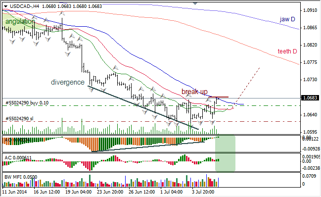 Анализ индикаторов Б. Вильямса для USD/CAD и NZD/USD на 08.07.2014